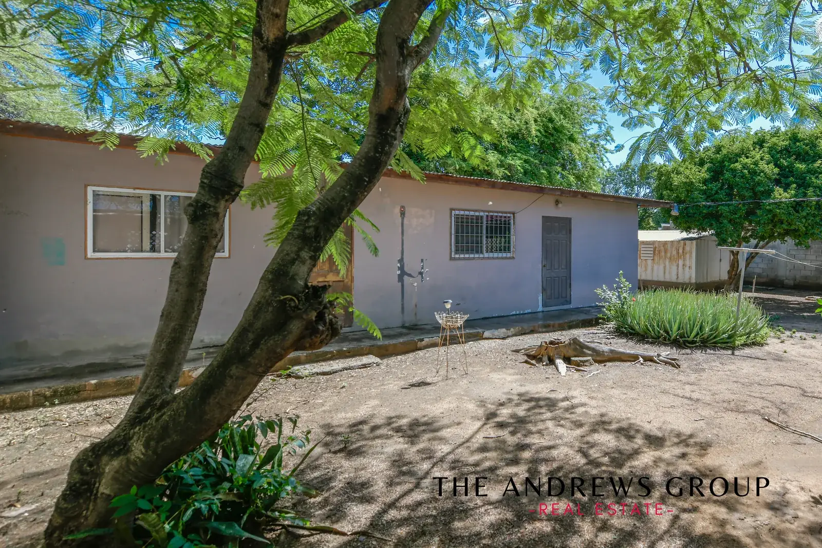The detached apartment from the back garden: a low building under mature trees, with a paved apron, aloes and a corrugated roof.