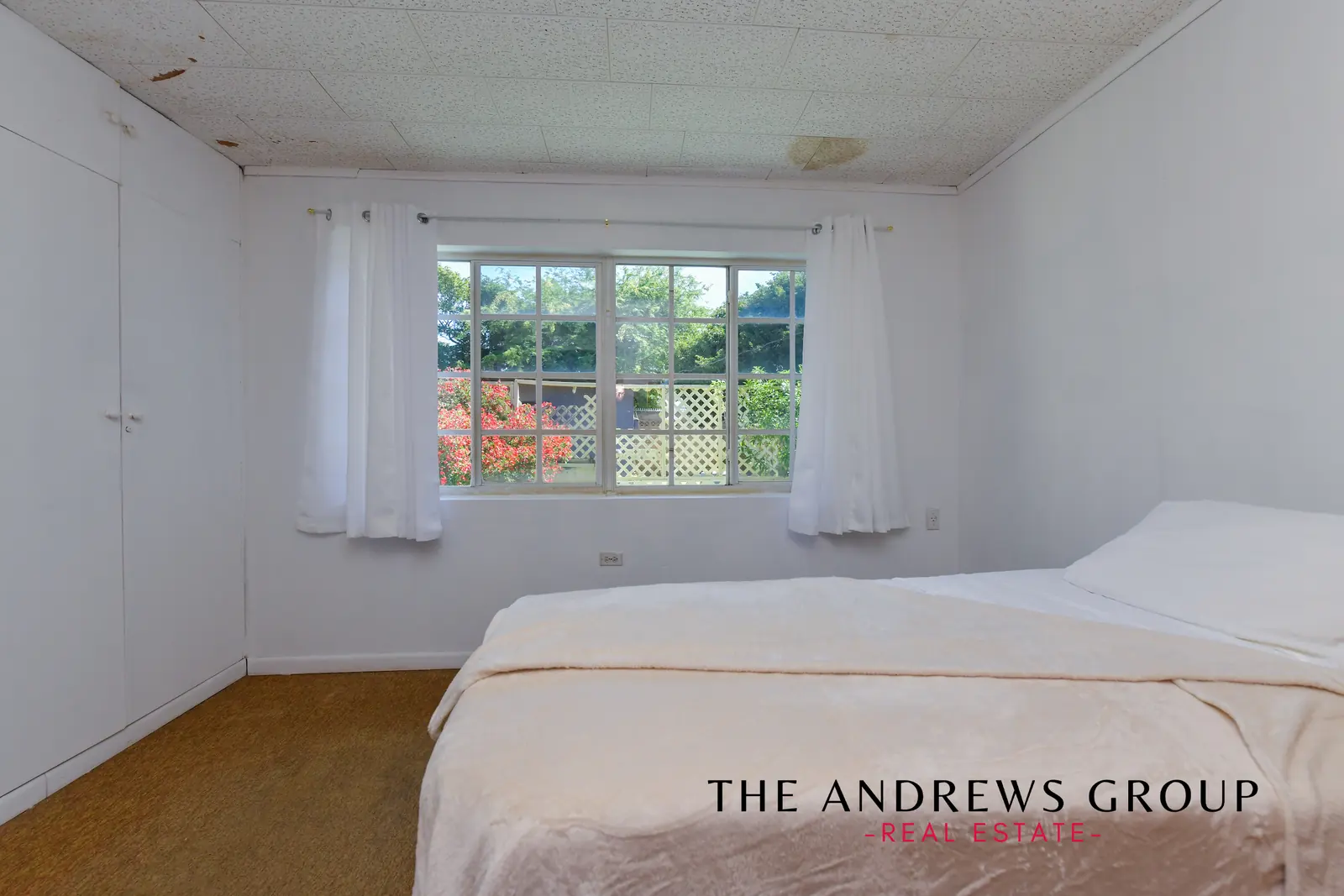 A bedroom with white walls, tan carpet, a built-in wardrobe, and a grid window looking onto bougainvillea in flower.